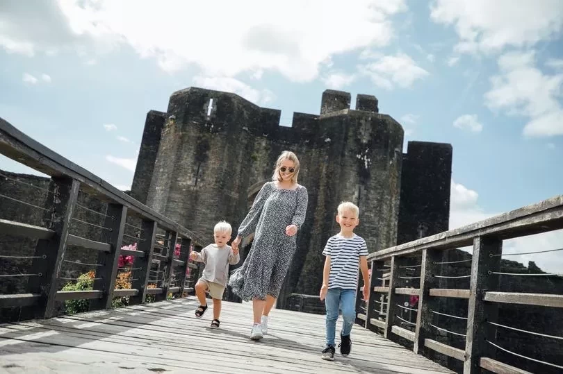 Historic monuments body Cadw should look to establish a Welsh school of heritage